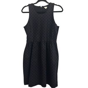 J. Crew women's mini dress with velvet flock polka dots size Small navy stretchy